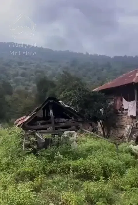خانه تلار دار در دل کوه و جنگل جاده ماسوله