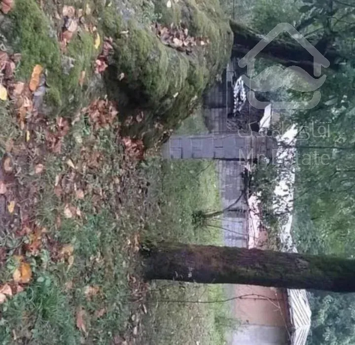 زمین در املش