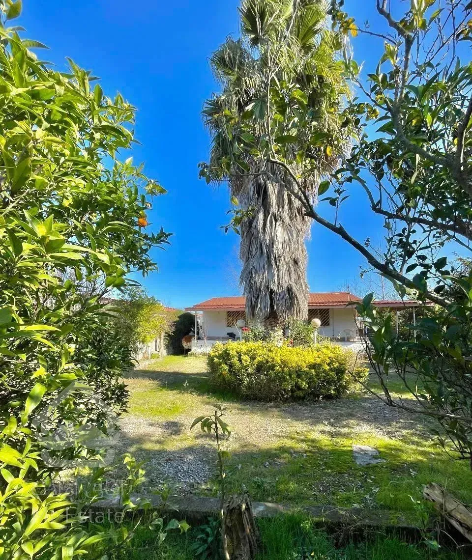 ویلاباغ ۱۲۰۰ متری جنگلی معاوضه با دلار