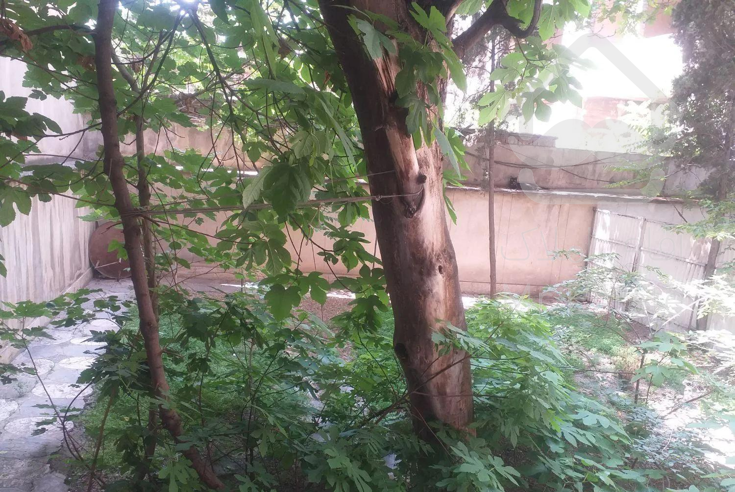 آپارتمان ۱۲۵ متری (حیاط دار و قدرالسهم )