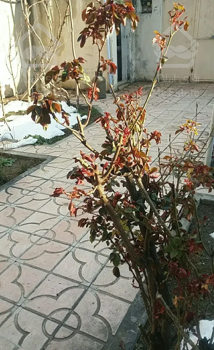 اجاره ویلا مسکونی   در کلیبر