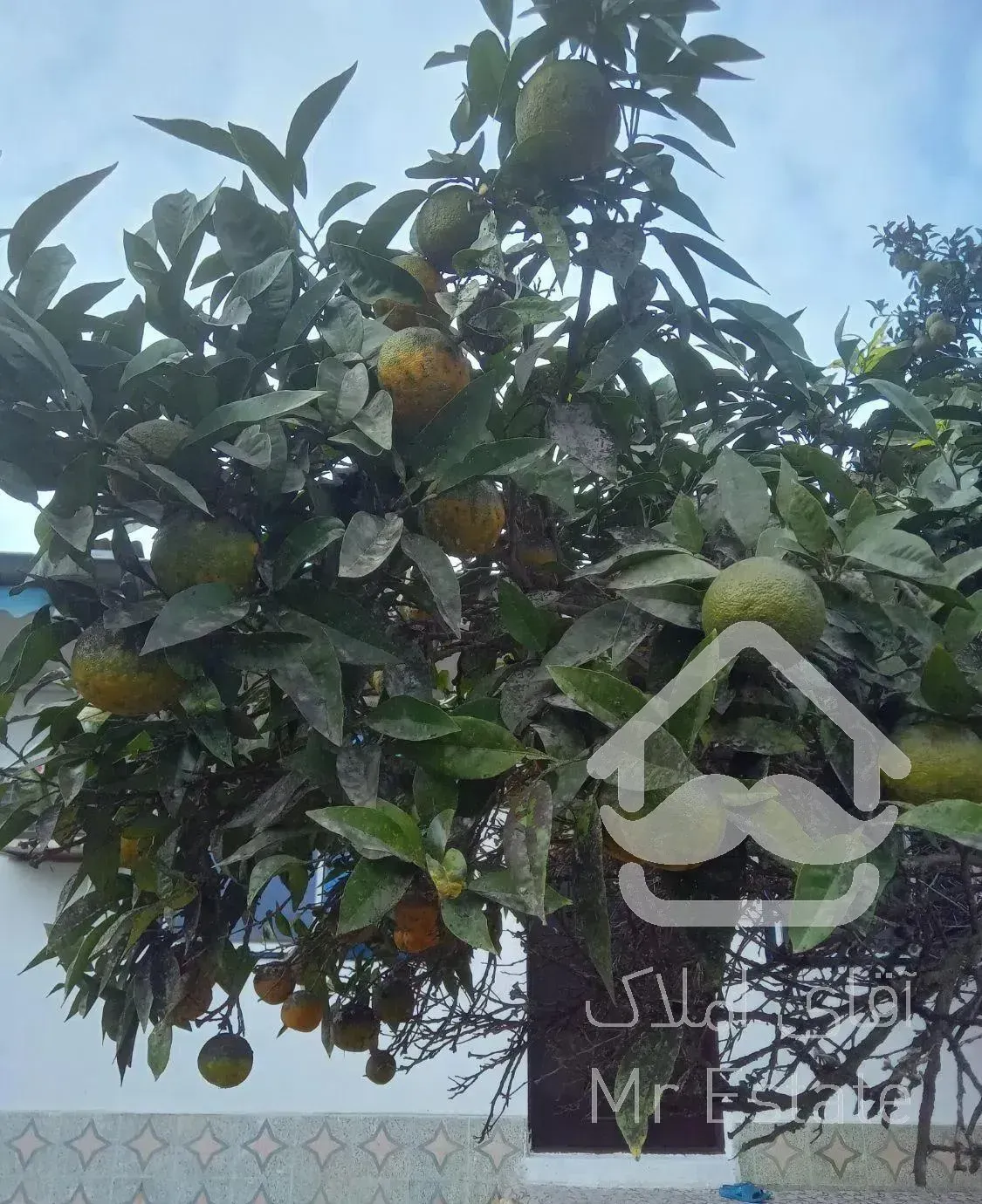 اجاره ویلا باغ خانوادگی