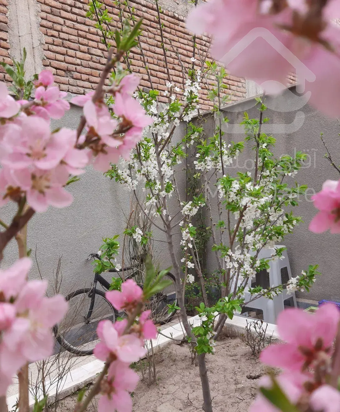 خانه ویلای ۴۵۳ متره