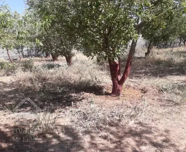 باغ 505متری جابان دماوند