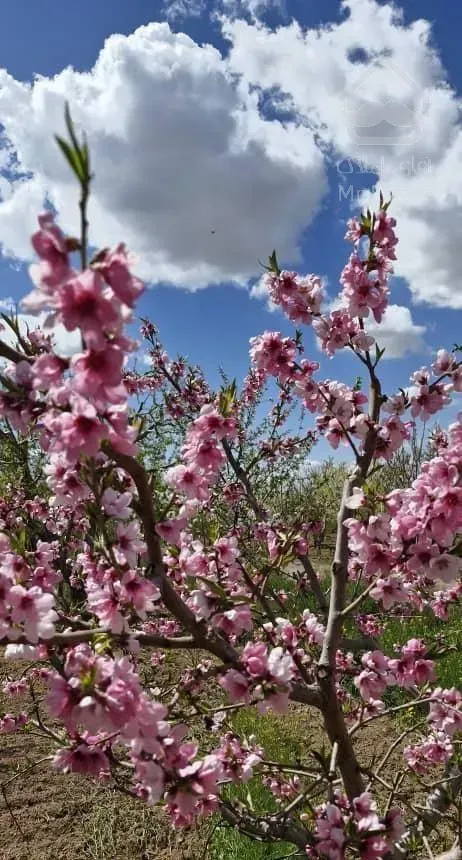 فروش واحد نوساز تک واحدی 84متز