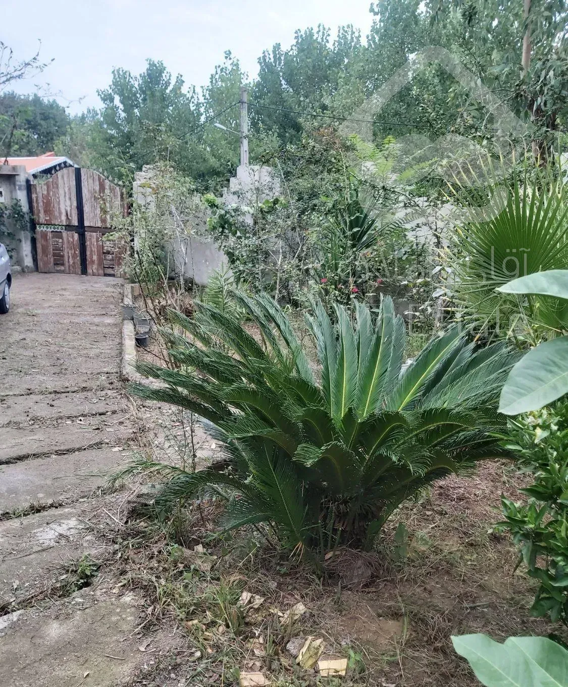 رهن خانه ویلای۵۰۰متری ۳ خوابه در سیا اسطلخ