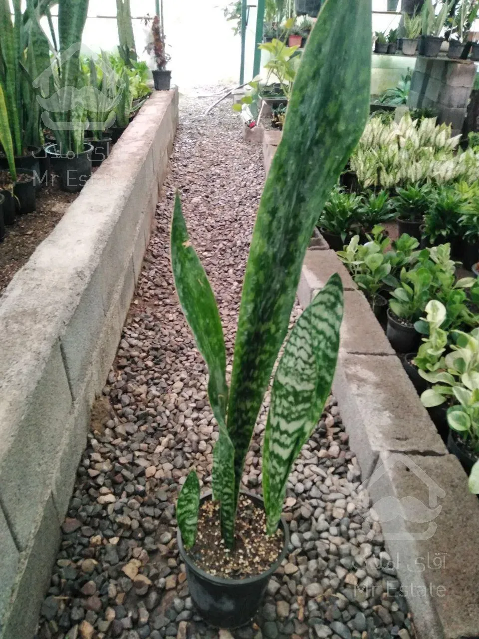 فروش گلخانه ،،سقف متحرک