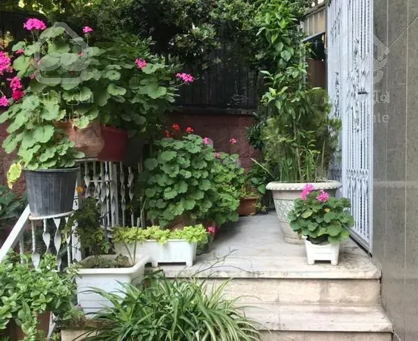 فرشته ۱۸۵ متر