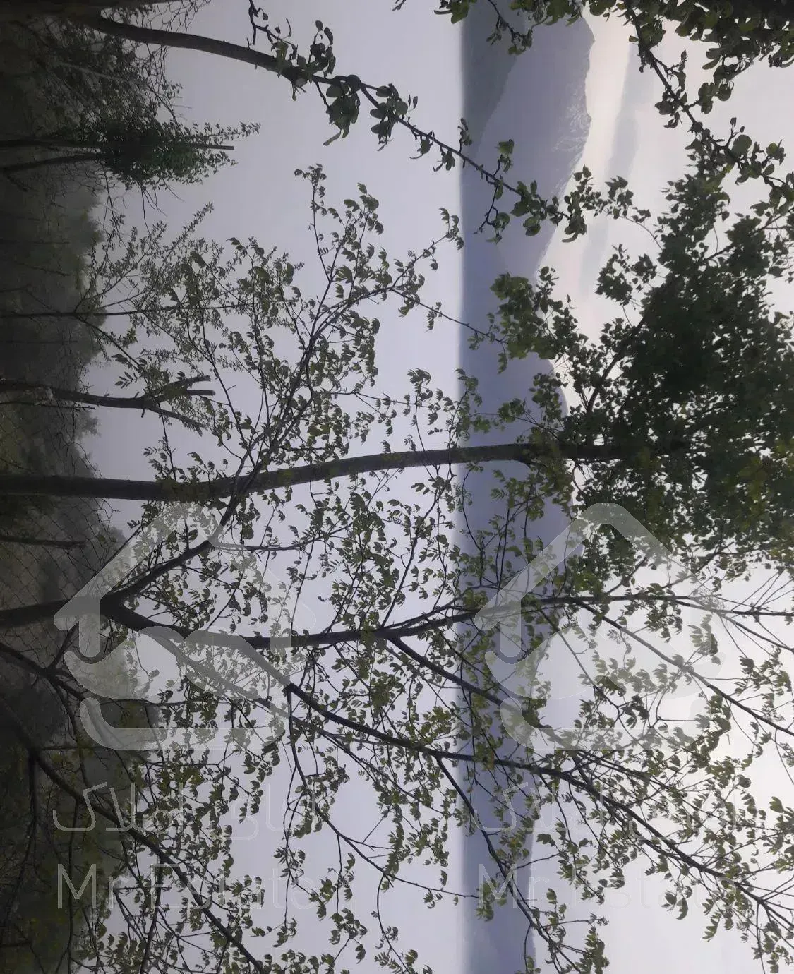 اجاره ویلا روستای گردشگری نرسو