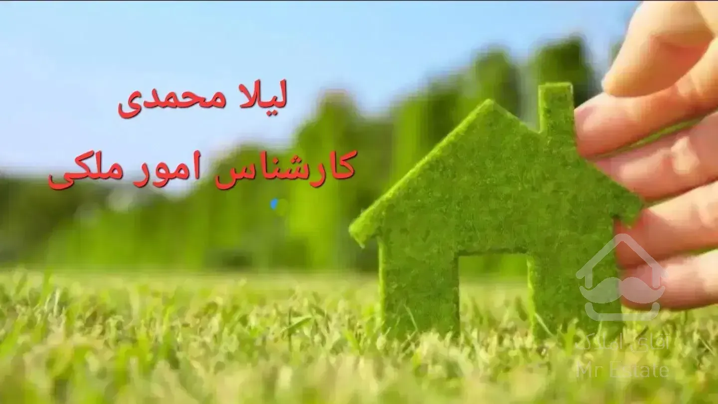فاز بی یک خواب/لیلا محمدی