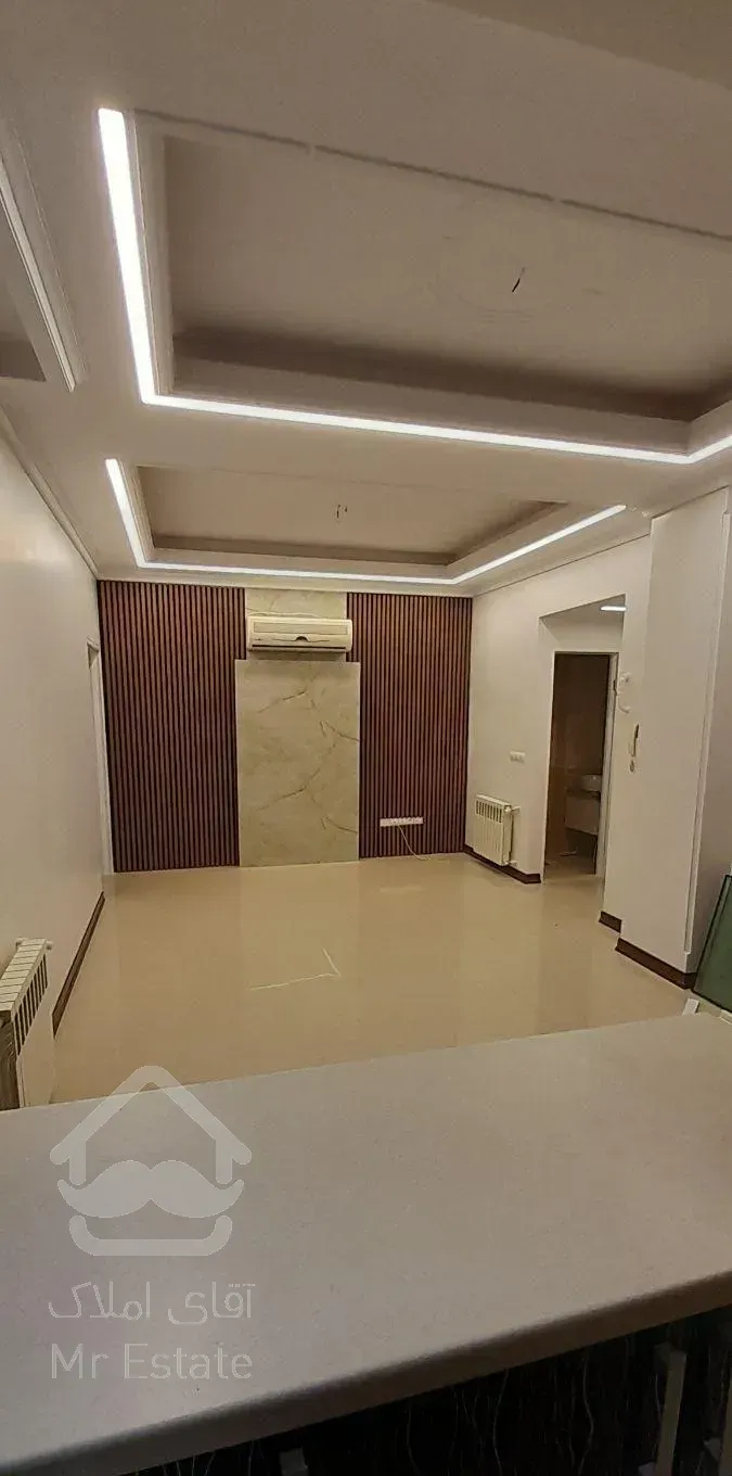 تنها یکخوابه آپادانا و پالیزی