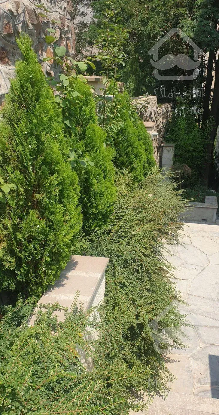 امیرآباد شمالی // ۲۴۶ متر // ۴ خواب