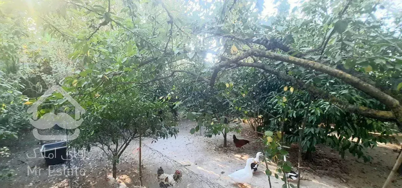 باغ‌ویلاهمکف‌ساحلی،۴۸۰متری،سرخرود