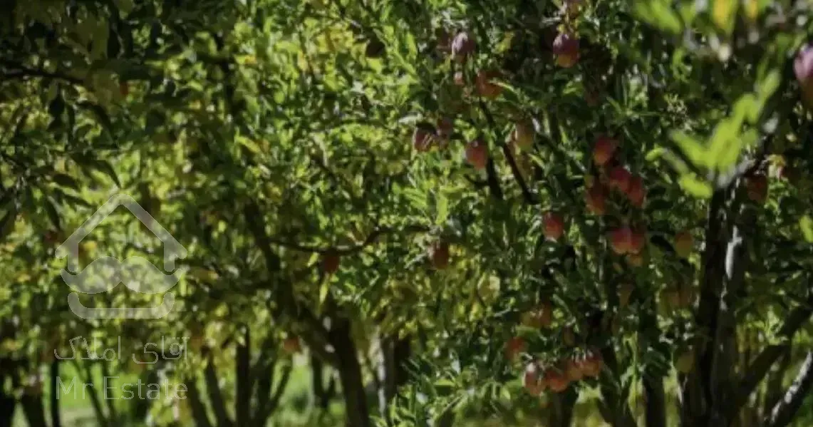 زمین۱۰۹۳ متری سنددار در رودبار قصران