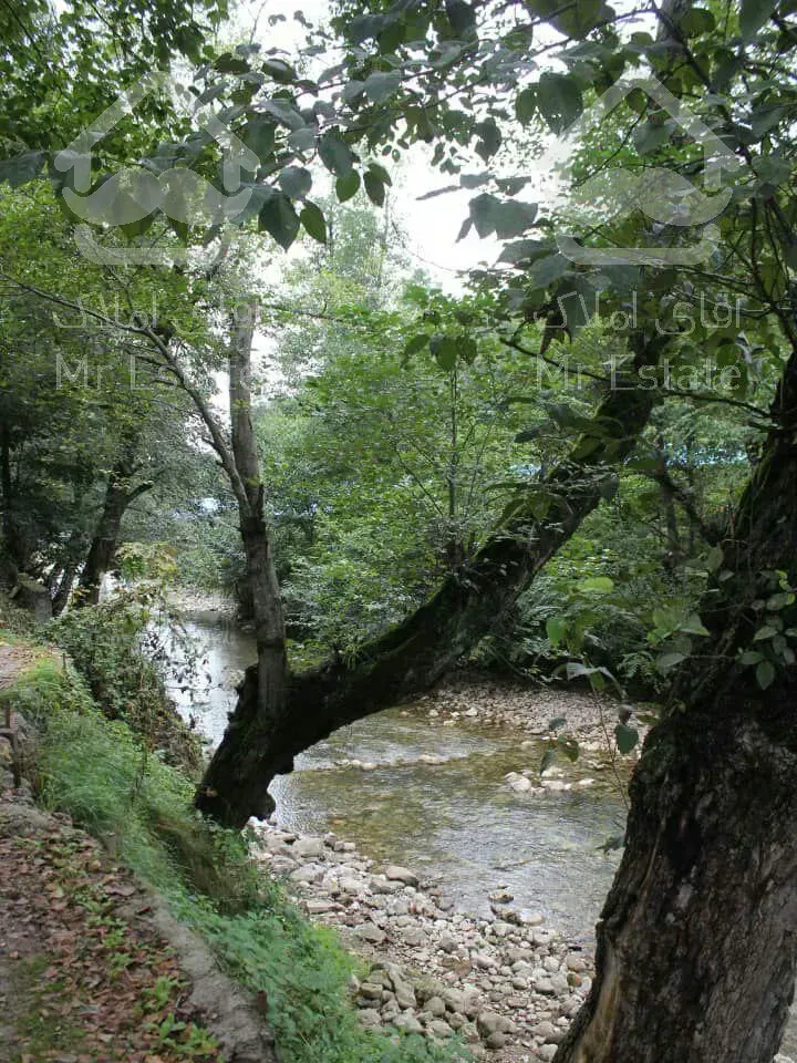 رزرو ویلا (مجتمع اقامتی و تفریحی پارادایز)