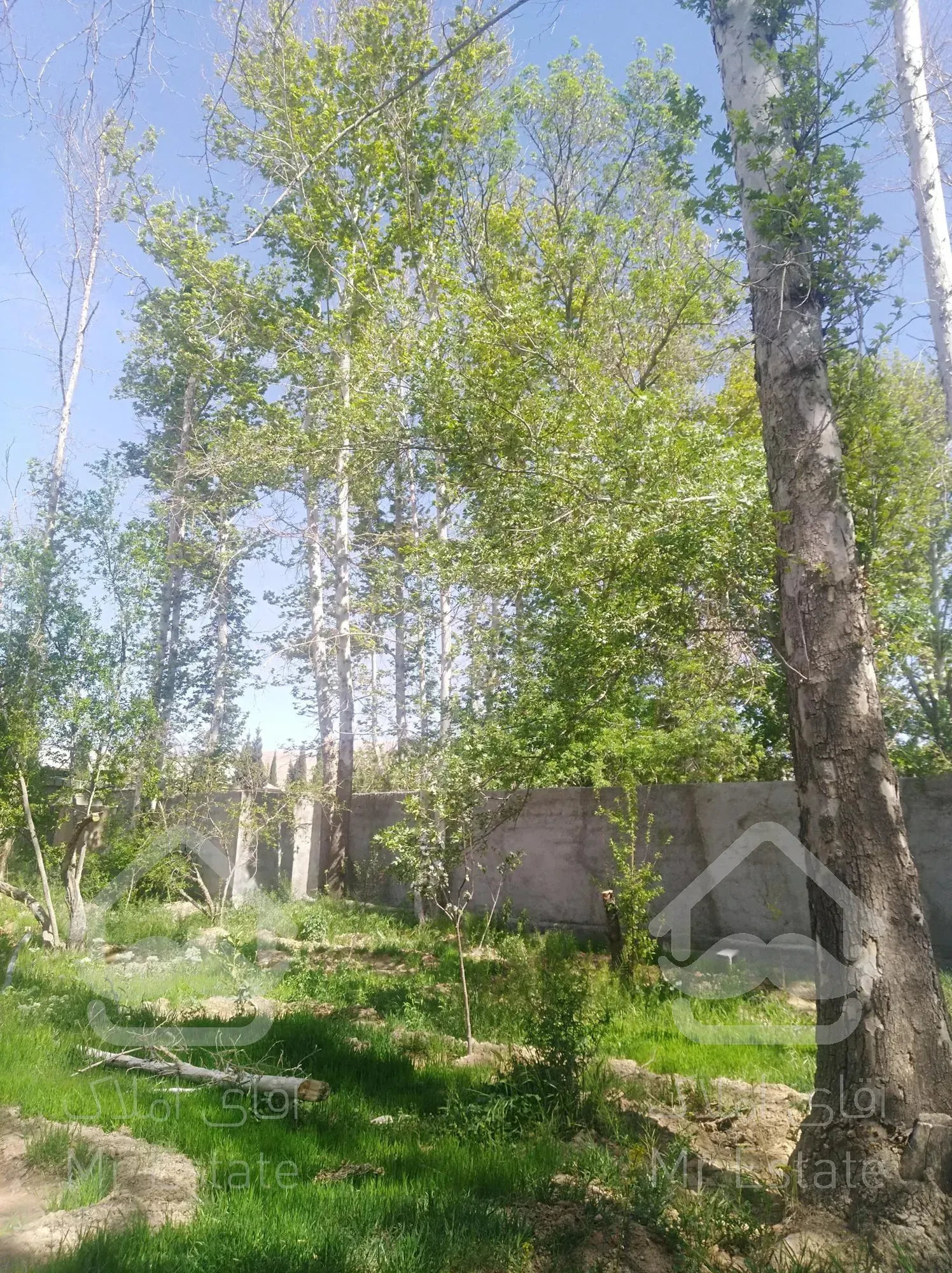 ویلا باغ تیون