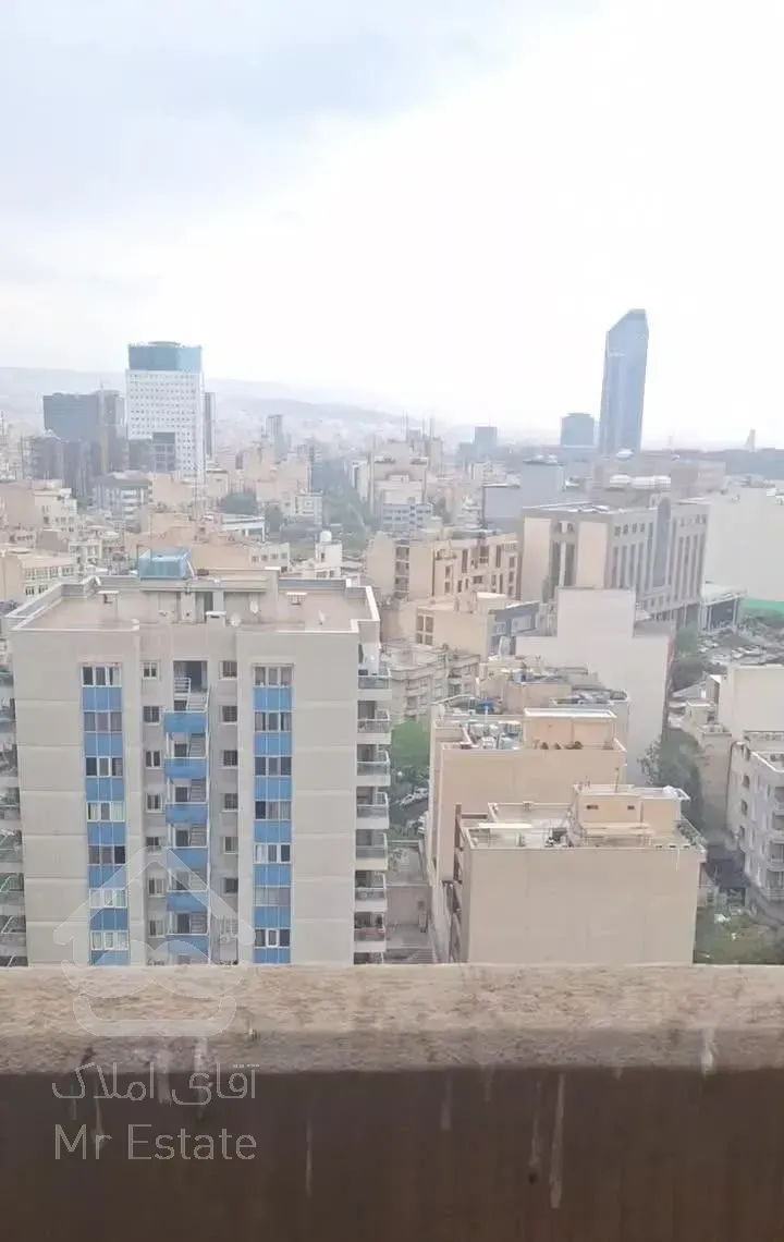 ونک/پارک و پرنس/چشم انداز کل تهران