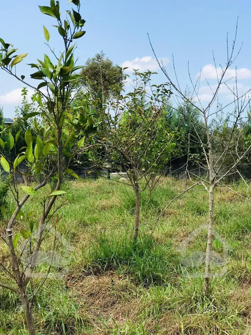 فروش باغ 300 متري منطقه دنج و غير بومي