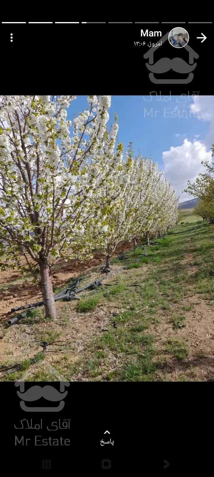 باغ زیبا در شهرستان خلخال با ویو عالی نزدیک به شهر