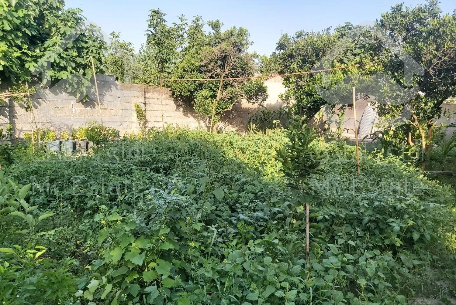 خانه روستای ۷۰۰متری سند تک برگ