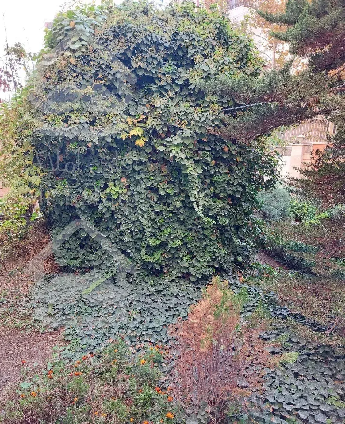 آپارتمان ۲۹۰ متر ۴ خواب تک واحدی استخردار