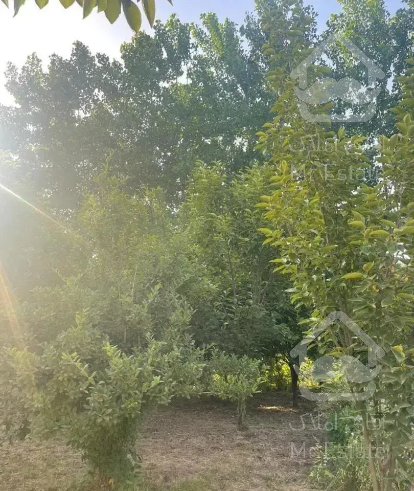 ویلا باغ زیبا و دنج