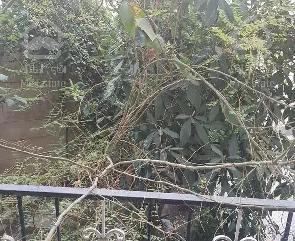 فرمانیه سلیمی شمالی ۷۵ متر