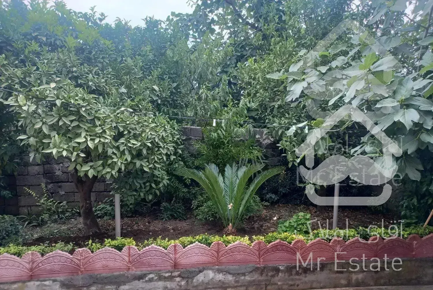 سوئیت تمیز رامسر