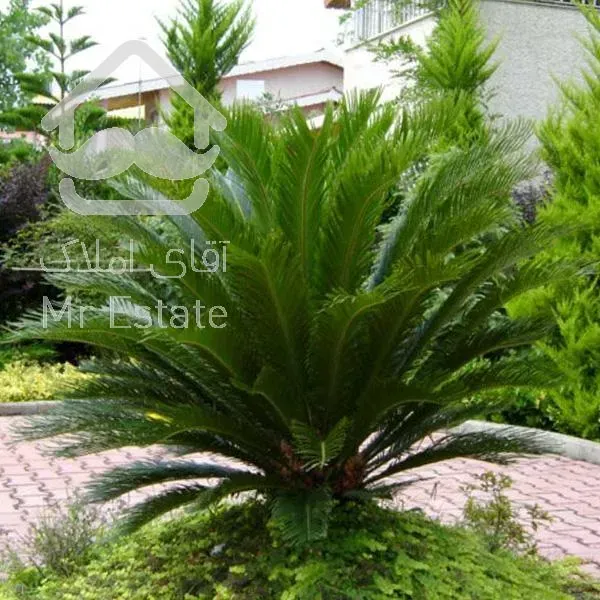 تولید گل و گیاه بیرونی و اجرای فضای سبز