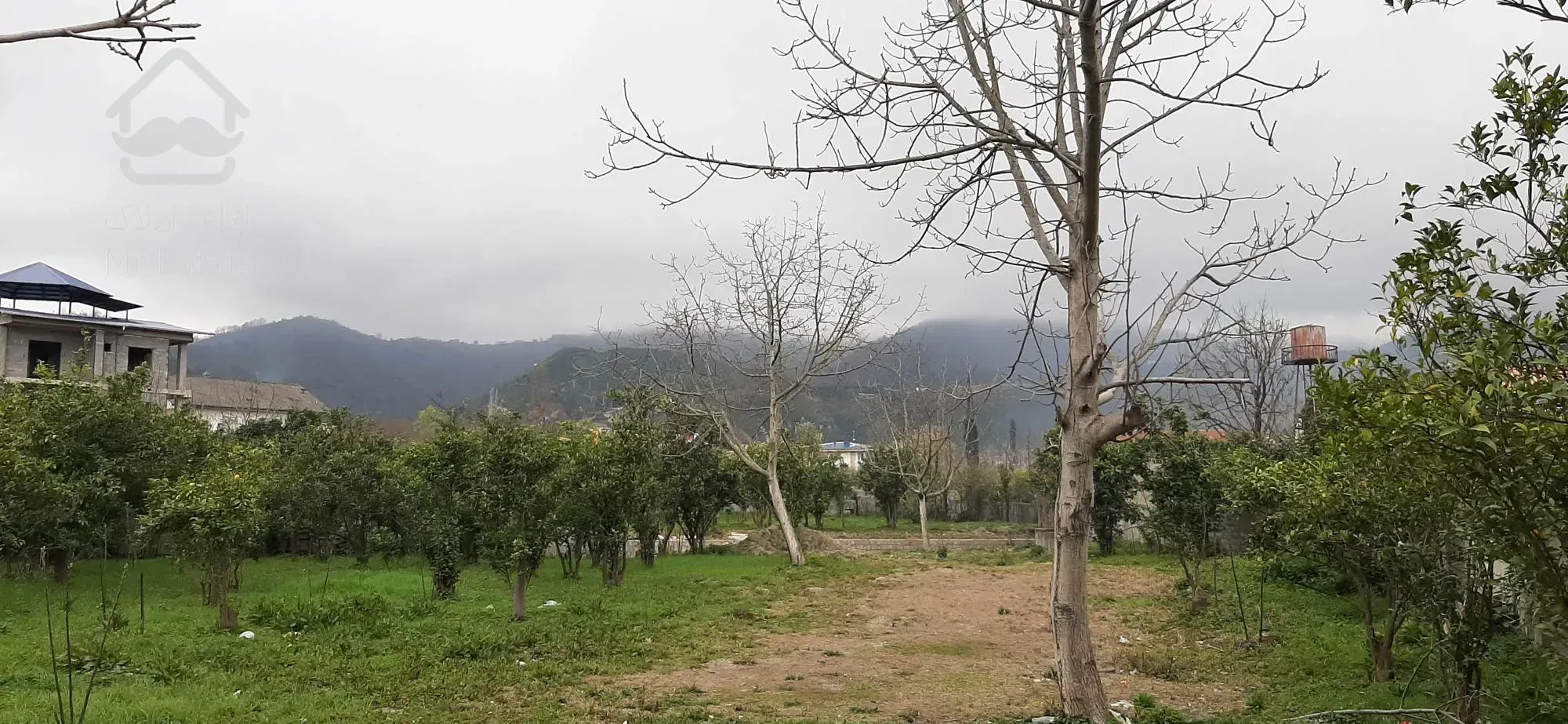 فروش زمین رامسر