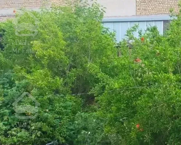 250متر سند۶ کوچه حناکوچه۲۶