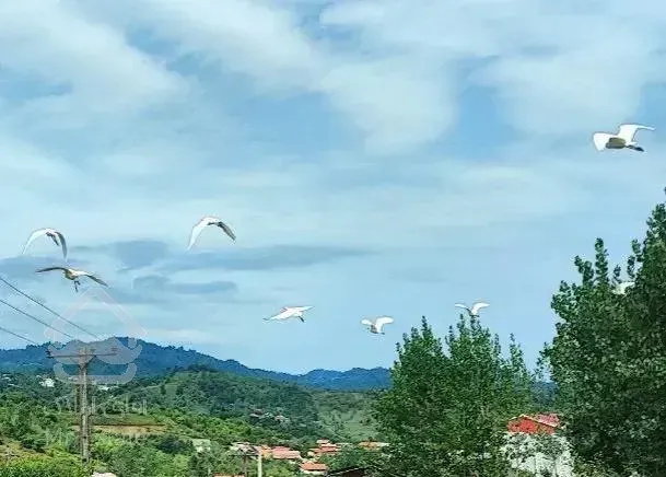 ویلا شیک   با ۴۰۰ متر محوطه