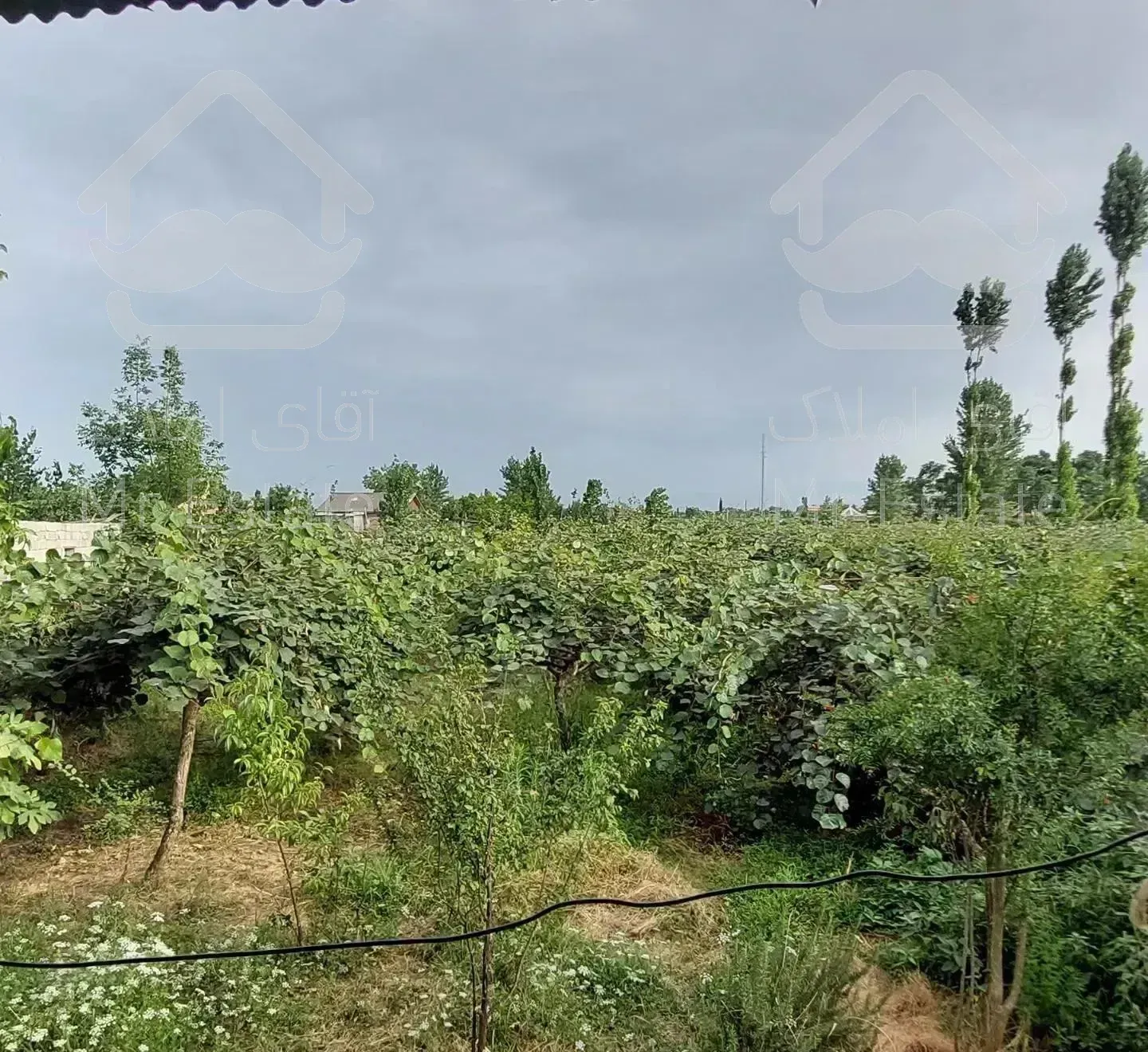 خانه محوطه 770متر لیسار