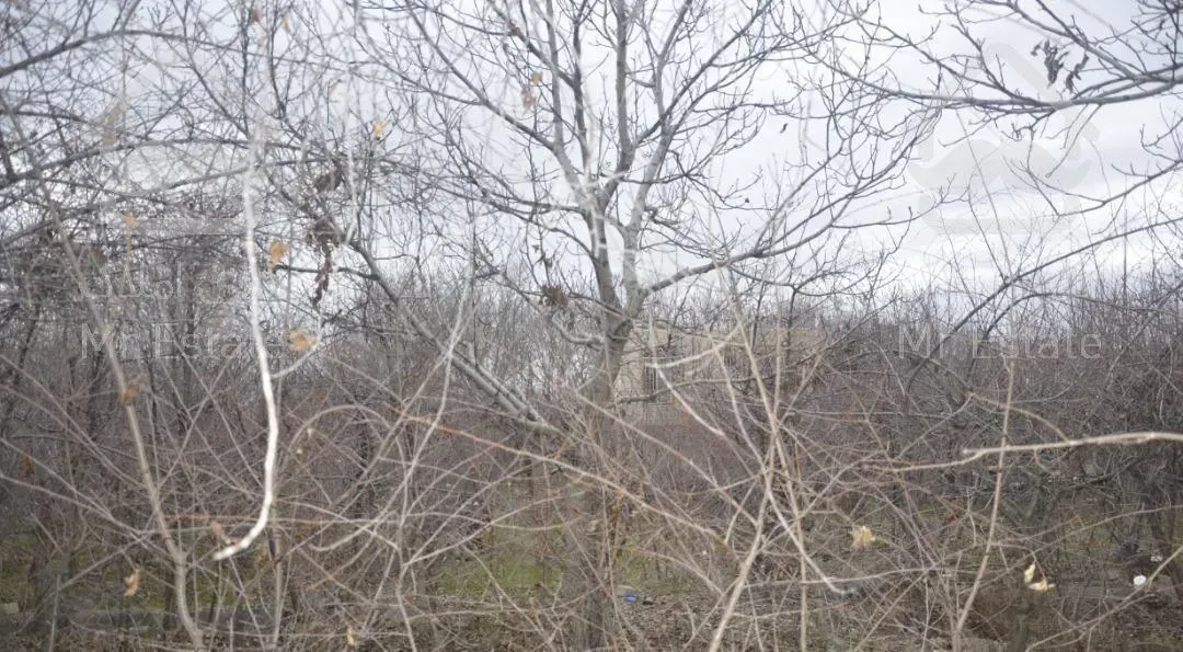 باغ با ساختمان دو طبقه