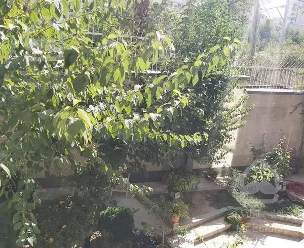 ۱۵۰ متر محمودیه ۳ خواب