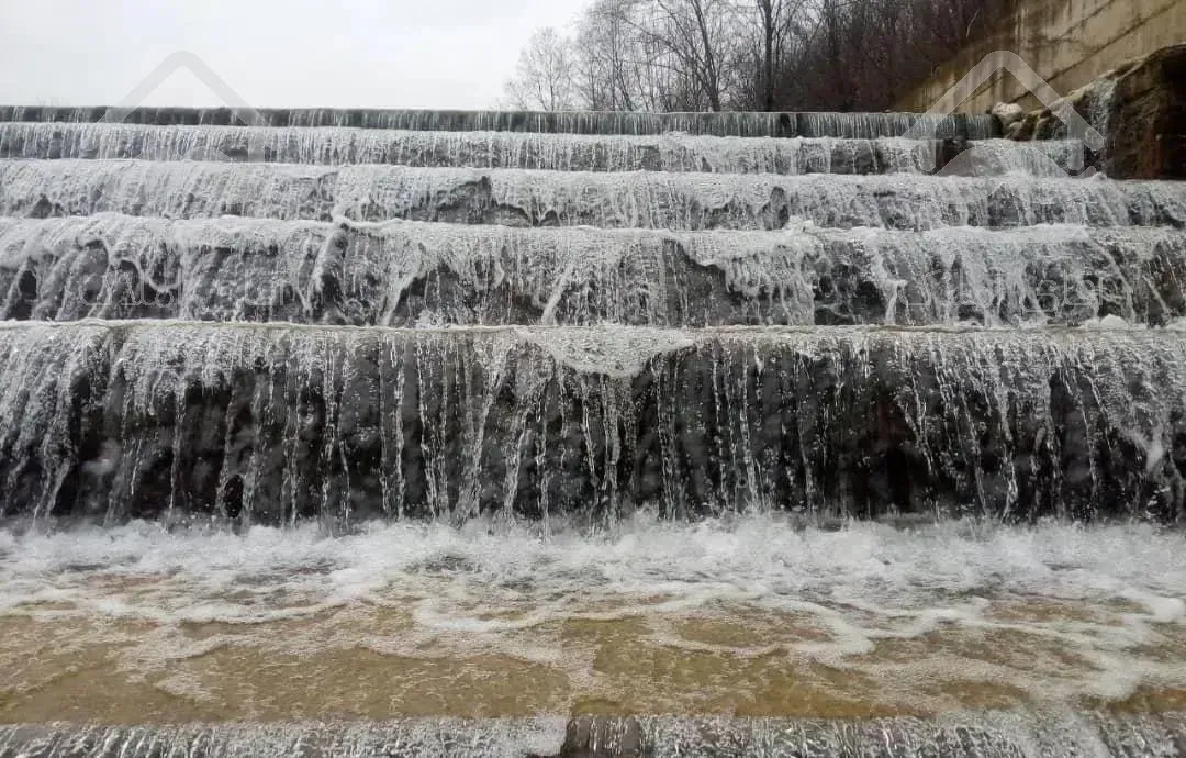 سوئیت‌کنار‌جنگل