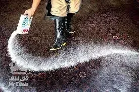 قالیشویی ومبل شویی میاناسرویس سراسر تهران