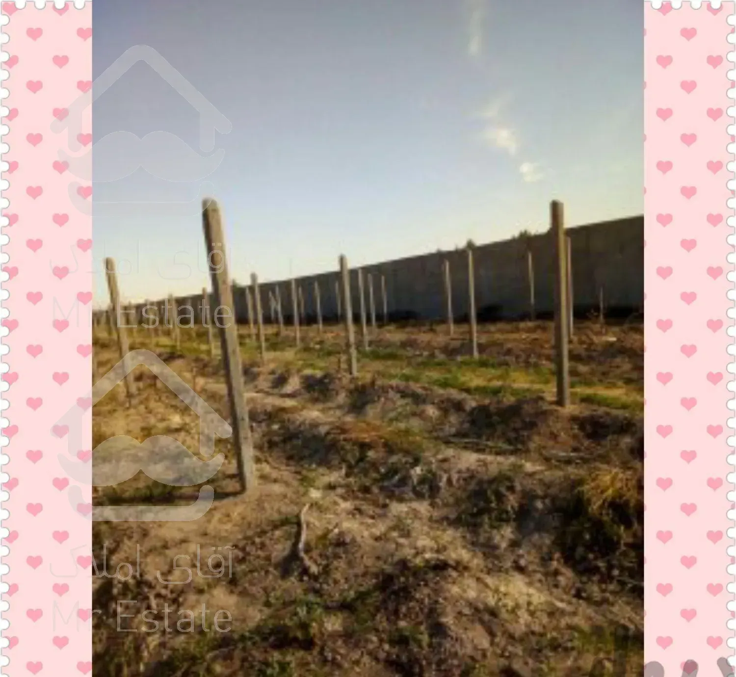 اجرای تیرچه و فنس کشی باغات انگور