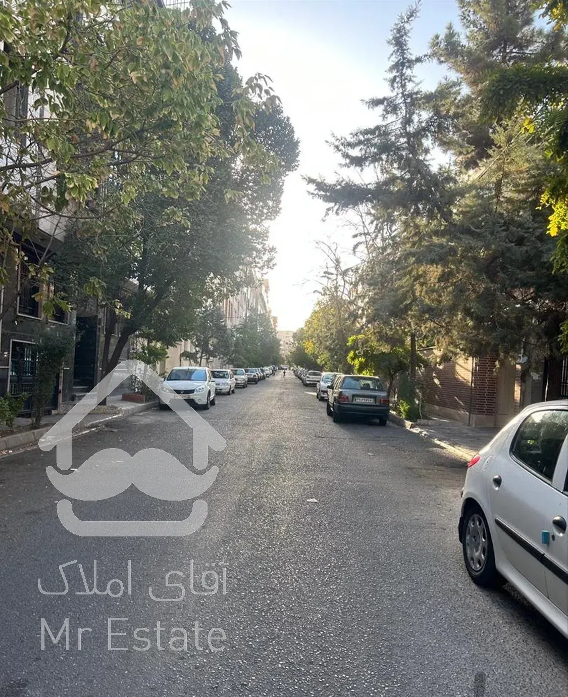 69متر پونک شمالی/سالن پرده خور/سرمایه گذاری