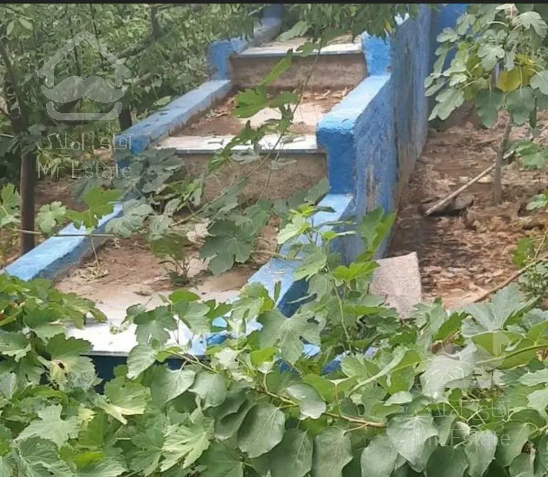 اجاره خانه باغ در ماهان