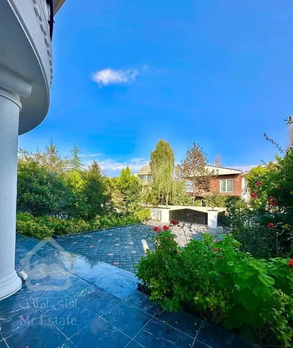 نوارجنگلی نور/نمارومی ۵۰۰متری/سنددار