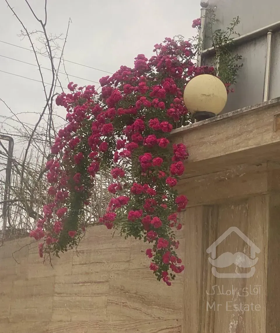 ویلا۲۵۰متر با سند تک برگ در محیطی امن و ارام