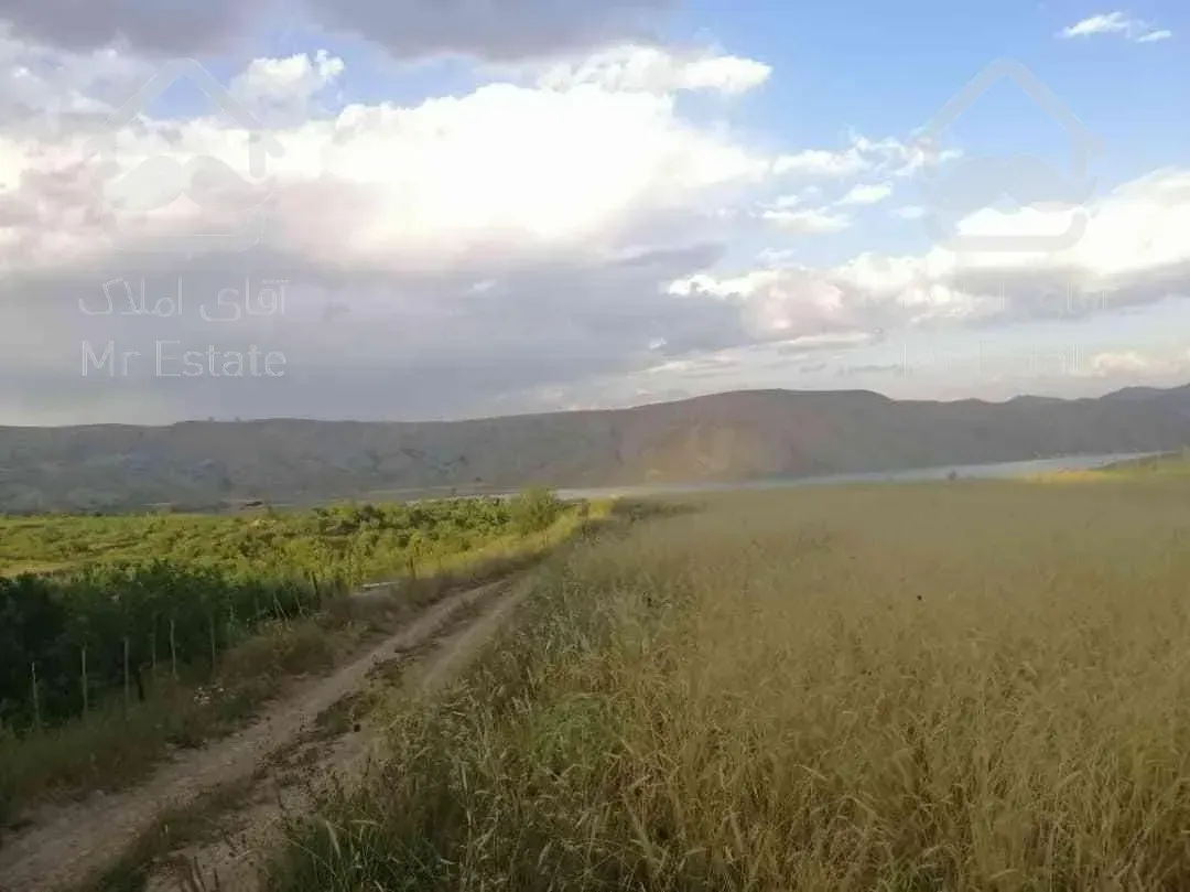 زمین زراعی در سله بن فیروزکوه