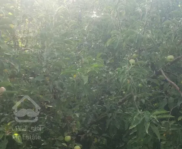 خونه باغ 1000 متری