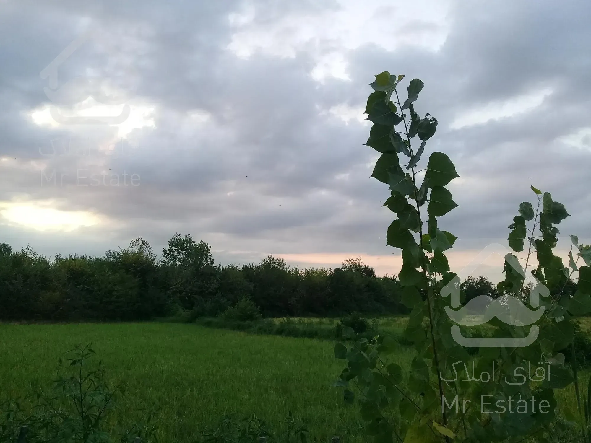 زمین با متراژ بالا و منطقه عالی