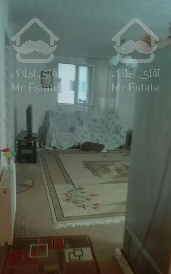 فروشی ارگ یک