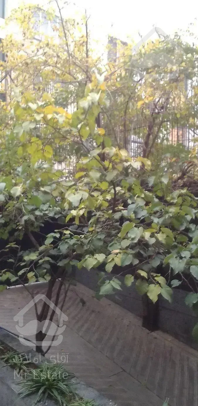 178 متر سه خوابه دوبلکس ولیعصر