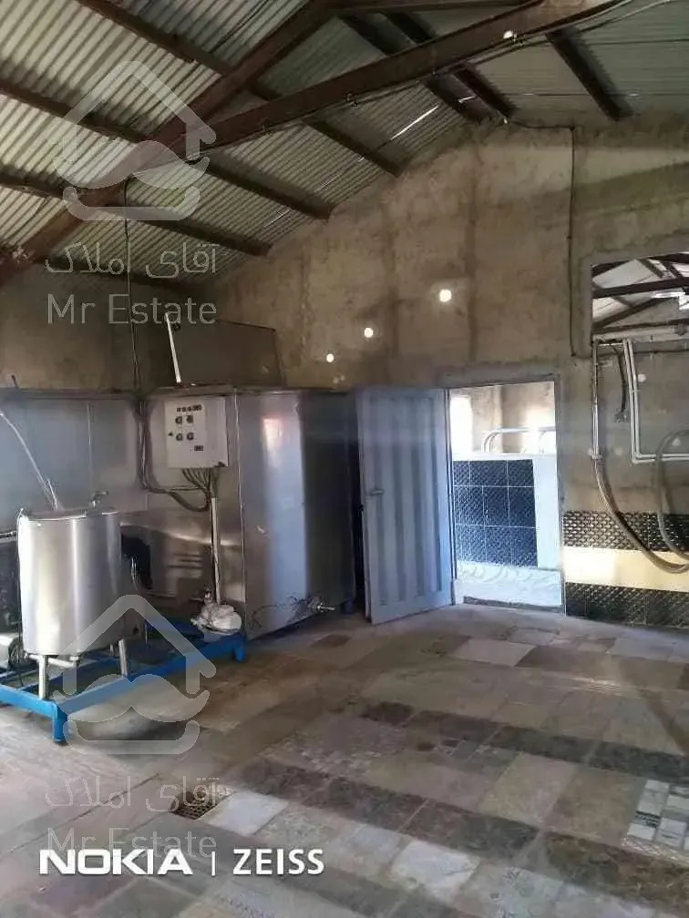 ♧♧گاوداری فعال با کلیه تجهیزات♧♧