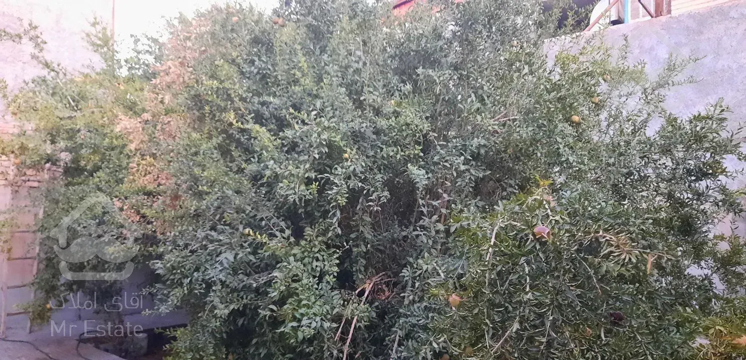 اجاره ۱۲۰ متر ویلایی بلوار استاد شهریار