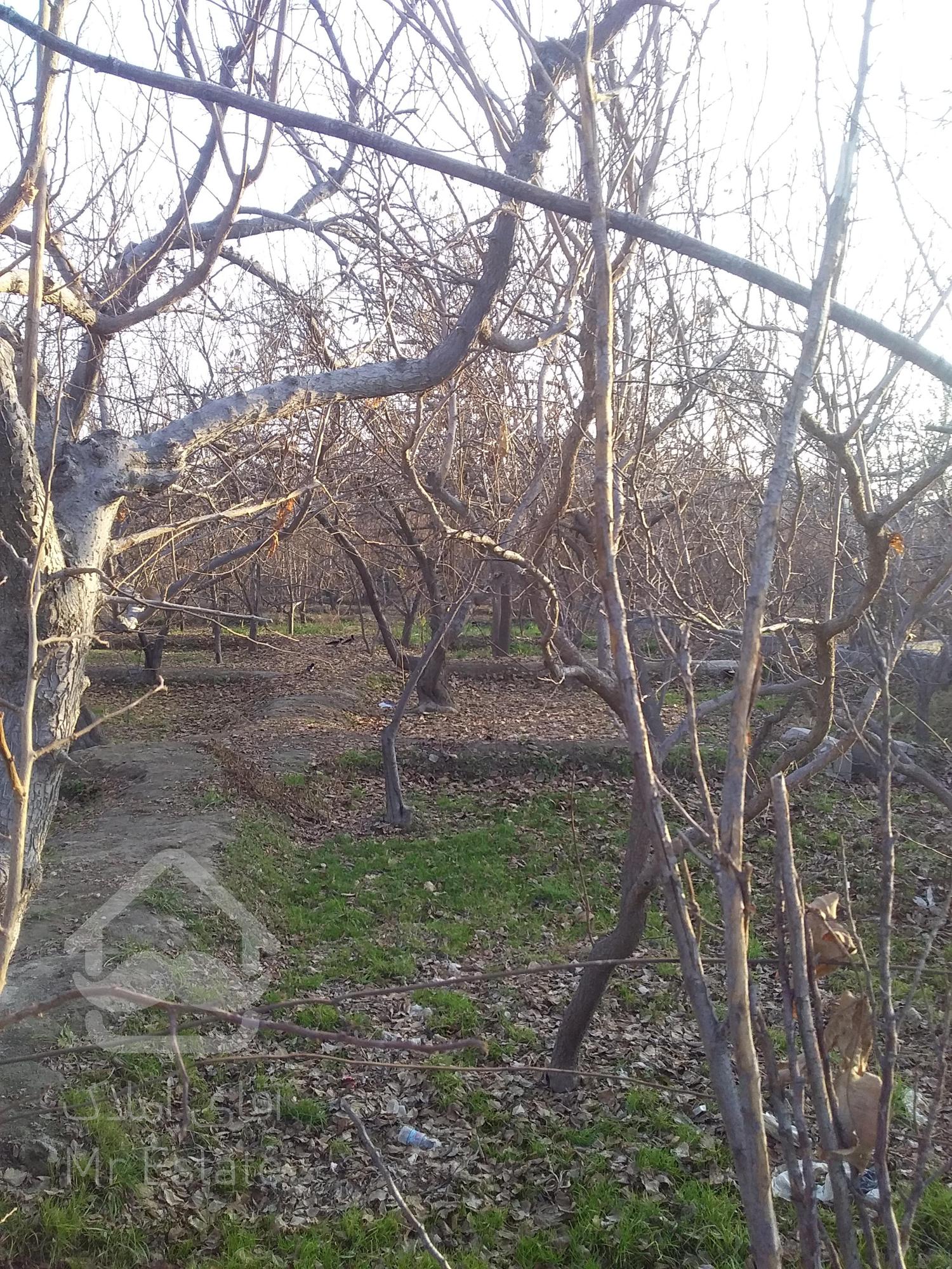 زمین باغی به متراژ۶۰۰مترچهاردیواری.بهترین نقطه محمداباد.دارای اب برق گازوسندبه فروش میرسد